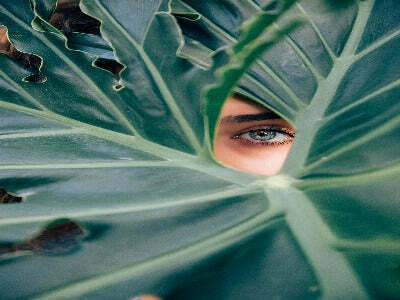 Woman eyes looking through a leaf